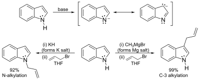 Formation and reactions of the indole anion