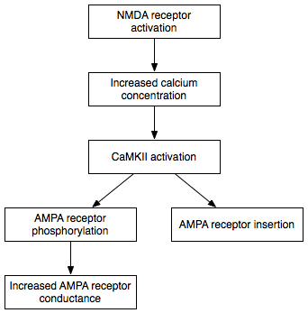 Early LPT Mechanism