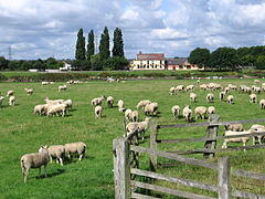Stoke Bardolph - Ferry Boat Inn (from Shelford side of River Trent).jpg