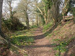 Burton, Avon Valley Path - geograph.org.uk - 1214261.jpg