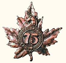 75th Bn Cap Badge.jpg
