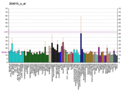 PBB GE KRAS 204010 s at fs.png