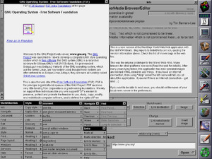 WorldWideWeb, c. 1994