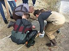 St. Rose High School students seining at Wreck Pond, N.J. (23161629281).jpg