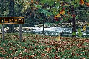 Bennett Spring SP 1-by rjones0.jpg