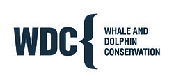 WDC Logo H D CMYK.jpg