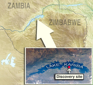Discovery site is located in Zimbabwe