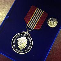 Sovereign's Medal for Volunteers Medal and Pin