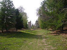 A bare valley has steep sides covered with conifer and birch trees. There is a tall Gothic tower at the far end