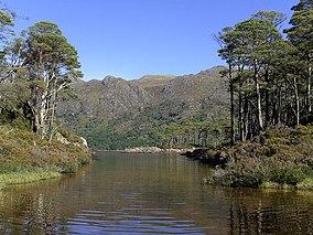 Amongst the islands of Loch Maree.