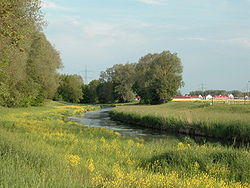 Schmutter bei Gablingen Schwaben.jpg