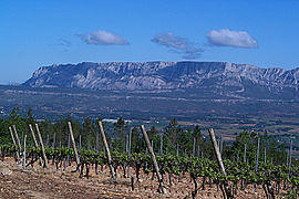 Montagne Sainte-Victoire and vineyards, seen from the slope south of Trets