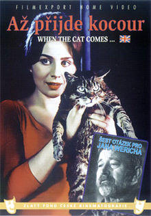 Az prijde kocour dvd LRG.jpg