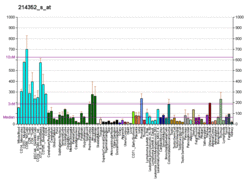 PBB GE KRAS 214352 s at fs.png