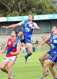 "Flying High" - Stephen Dodd (IMG 0725).JPG