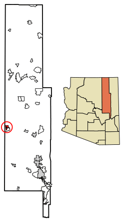 Location of Winslow in Navajo County, Arizona.