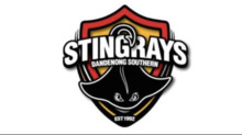 Dandenong Stingrays FC logo.png