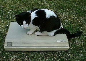 DECtalk DCT01 and Tink.jpg