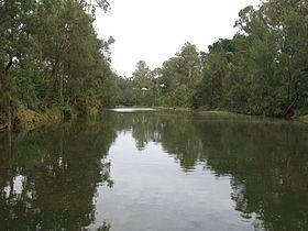 Richmond River.jpg