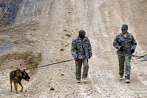 Defense.gov photo essay 110218-F-0848C-205.jpg