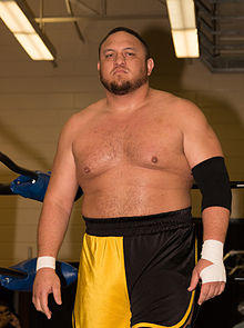 Samoa Joe at Smash 2015.jpg