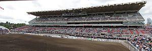 StampedeGrandstand-s01.jpg