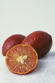 CSIRO ScienceImage 7979 Blood limes.jpg