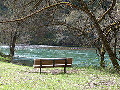 Bench - Casey SRS Oregon.jpg