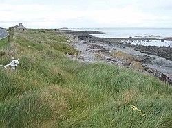 Burr Point, easternmost point of Ireland - geograph.org.uk - 435784.jpg